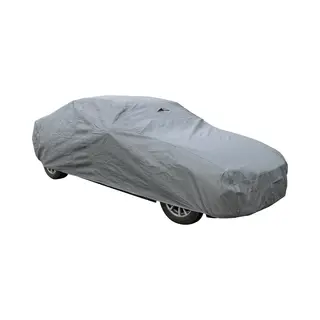 Carpoint 1723614 Car Cover