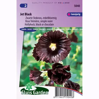 Sluis Garden - Stokroos Jet Black (Alcea Rosea)