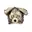 Beige, Zwart