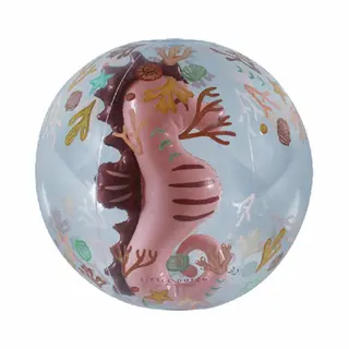 Little Dutch Ocean Dreams Strandbal 3D Figuur Roze