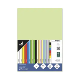 Kangaro Multifunktionspapier, Din A4, 160 G/qm, Helles Grün