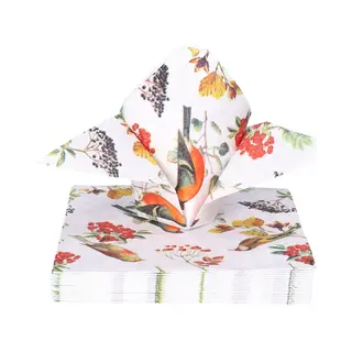 Ambiente Tafel Diner Servetten - Tuinvogels Thema - 20x Stuks - 33 X 33 Cm - Herfst En Winter Vogels