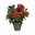 Rood