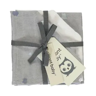 Briljant Baby Monddoekje Hydrofiel 30 X 30 - Sunny - Grijs - 3 Stuks