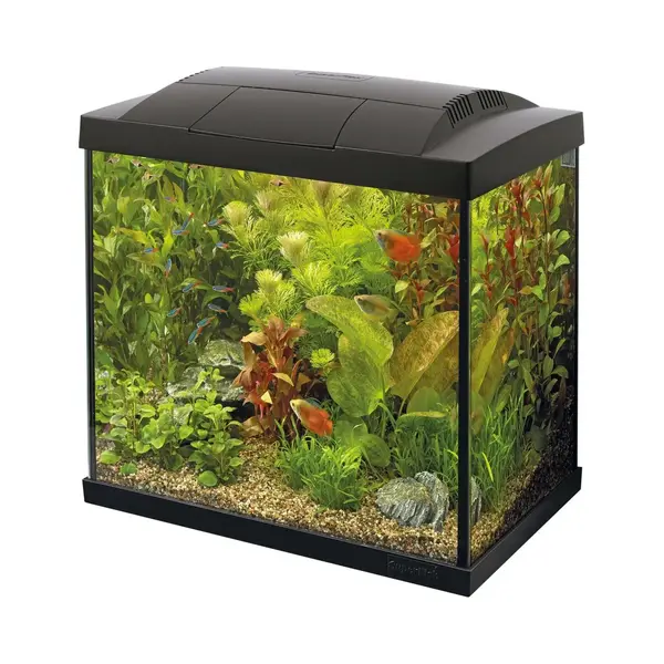 SuperFish Sf Tropical Set 30 Aquarium Schwarz Inkl. Filter, Heizer, Wasseraufbereiter, Kescher, Thermometer Und Futter thumbnail