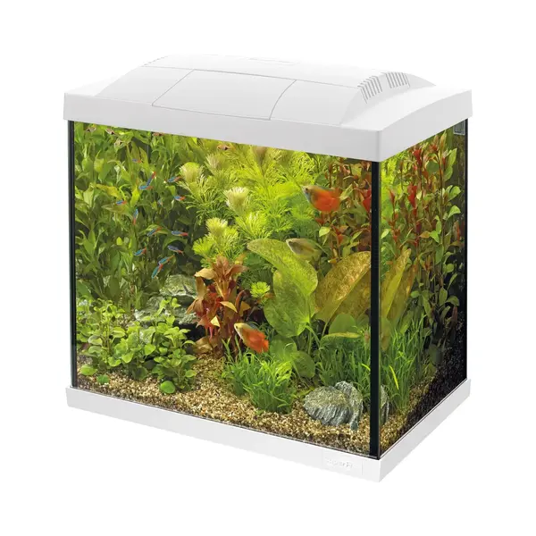 Superfish Aquarium Start 30 Tropical Kit Retro Led 27 L - Aquaria - Wit thumbnail