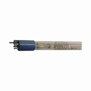 AquaForte Uv-C T5 Losse Lamp 75W - Lengte 85, 4 Cm