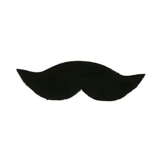 Carnaval Verkleed Loodgieter Snor - Zwart - Heren - Nepsnorren - Plaksnorren - Mario Stijl