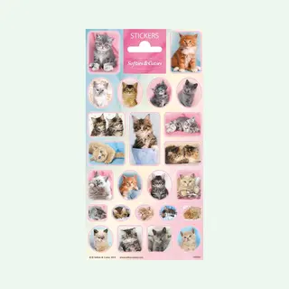 Stickers Schattige Katjes