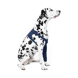 Mps Medical Pet Shirt - Taz, Single Front Leg Sleeve For Dog, X-Large