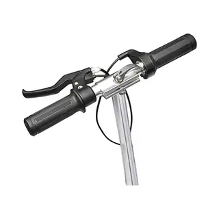 VidaXL Step Elektrisch 120 W Zwart