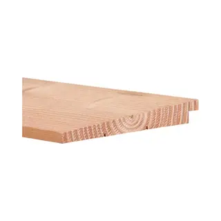 Intergard Douglas Zweeds Rabat Potdekselplanken 300cm (10/24x195mm)