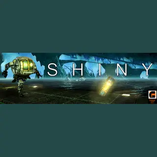 1C Entertainment Shiny Standard PlayStation 4