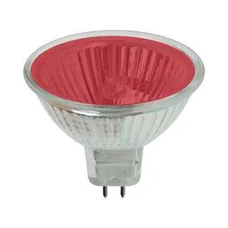 Schiefer GU5.3 MR16 Halogeen Spot | 35W 12V Rood 36° Ø50mm | Dimbaar