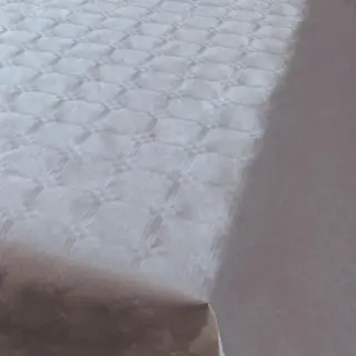 Haza Zilveren Papieren Tafelkleed Op Rol - 700x118cm