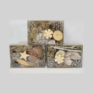 ZoeZo Design - 4 Doosjes - Assorti - Decoratie Materialen - 100% Natuurproduct - Ca. 150 Gram Per Doosje - Winter Mix - Hobby Materialen - Incl. Mos