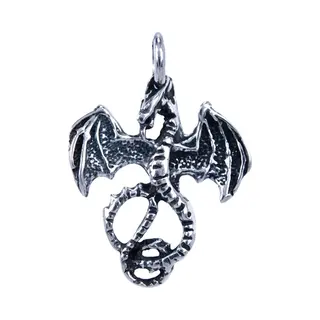 Mooye ® - Collectie Zilveren Draak Middel Ketting Hanger