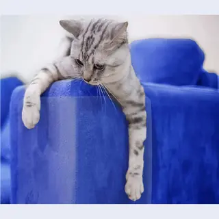 Vitamo™ Katten Anti Krab Training Sheets 4 Stuks - Meubelbescherming - Krabben - Diervriendelijke Trainingstape - Tegen Krabschade - Géén Punaises