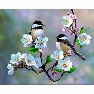 Lienz® Diamond Painting Volwassenen 30x40cm - Rond - Vogels En Bloemen - Pakket Volwassenen