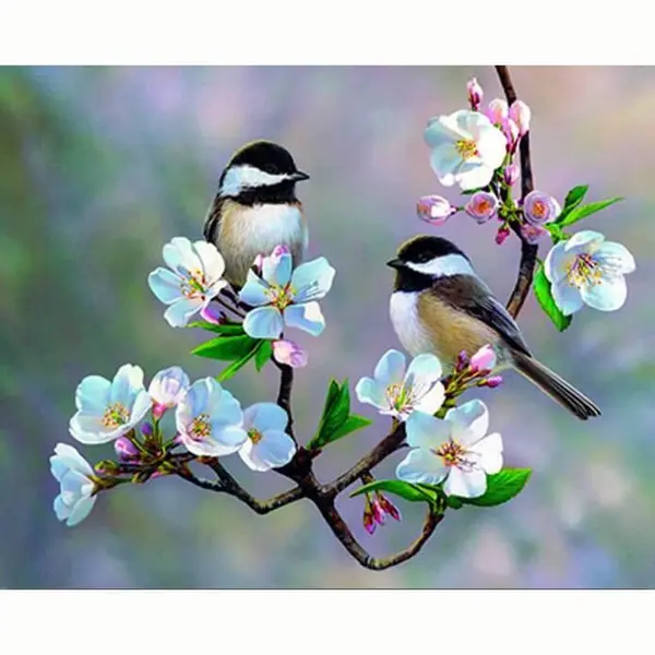 Lienz® Diamond Painting Volwassenen 30x40cm - Rond - Vogels En Bloemen - Pakket Volwassenen thumbnail