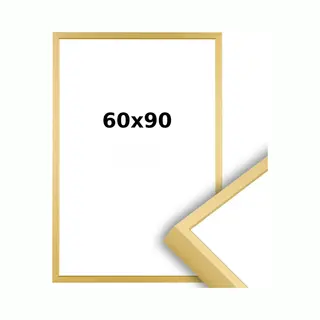 Lichtendonk Aluminium Wissellijst 60 X 90 Mat Champagne Goud - Ontspiegeld Acrylite - Professional