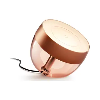 Philips by Signify Philips Hue White and Color ambiance Iris koperkleur special edition