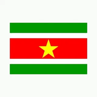 Klein Formaat Supporters Landen Vlag Suriname - 60 X 90 Cm - Landen Feestartikelen - Polyester