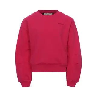 Looxs Revolution 2311-5314-223 Meisjes Sweater/Vest - Maat 176 - Roze Van Katoen