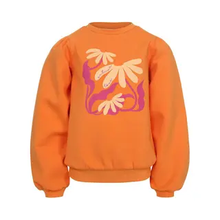 Looxs Revolution Sweatshirt