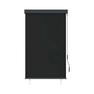 VidaXL Rolgordijn Voor Buiten 100x250 Cm Antraciet