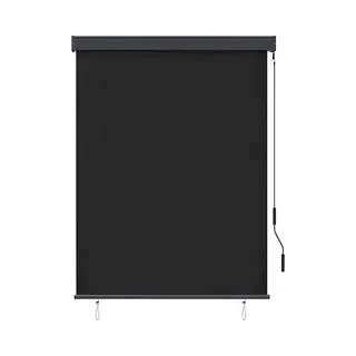 VidaXL Rolgordijn Voor Buiten 120x250 Cm Antraciet