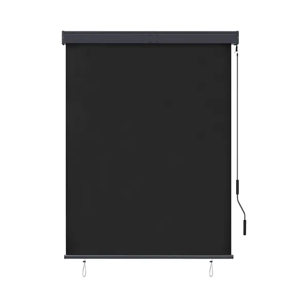 Outdoor Roller Blind 120x250 Cm Anthracite Vidaxl thumbnail