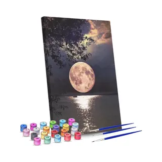 Rubye® Schilderen Op Nummer - Volle Maan - Inclusief Verf En Penselen - 40x50cm