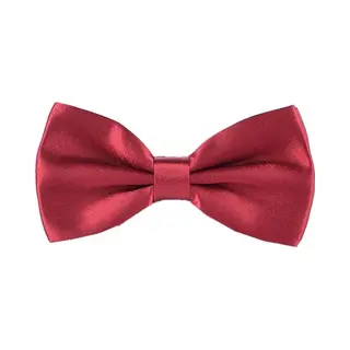 Fako Fashion - Vlinderstrik - Vlinderdas - Strik - Satijn - Voorgestrikt - 12.5cm - Bordeaux Rood