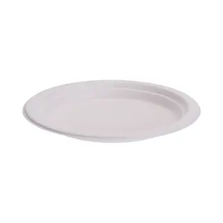 Bio Afbreekbare Gerecyclede Feestbordjes - D17 Cm - 16x Stuks - Suikerriet - Milieuvriendelijk - Wegwerp Taart/gebak/bbq Bordjes