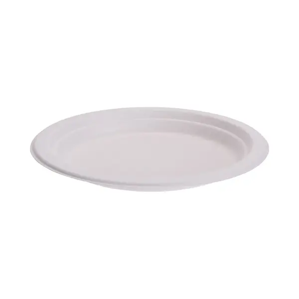 Bio Afbreekbare Gerecyclede Feestbordjes - D17 Cm - 16x Stuks - Suikerriet - Milieuvriendelijk - Wegwerp Taart/gebak/bbq Bordjes thumbnail