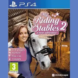 Microids 126588 video-game Standaard PlayStation 4
