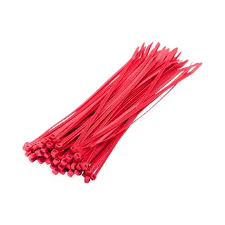Kabelbinders - Rood - 100x - 10 X 0, 25 Cm - Tiewraps - Tie Ribs - Bundelbanden - Nylon