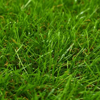 Artificial Grass 1x8 M/40 Mm Green Vidaxl