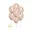 Rose Goud