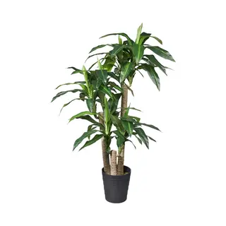 Kunstplant Dracaena Fragans H135cm - Htt Decorations Kunstplanten