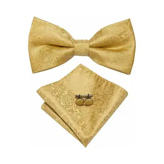 Vlinderdas Inclusief Pochet En Manchetknopen - 100% Zijden - Paisley - Goud - Vlinderstrik - Strik - Pochette – Heren - Cadeau