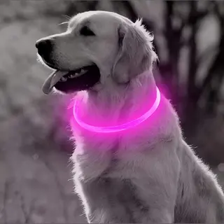 Professor Q Led Halsband Hond - Lichtgevende Halsband Hond - Roze - S - Usb Oplaadbaar
