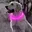 Roze
