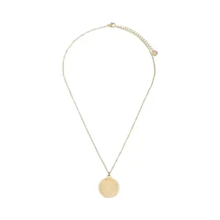 The Jewellery Club - Mandy Necklace - Ketting - Dames Ketting - Munt Ketting - Stainless Steel - Goudkleurig - 40 Cm