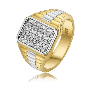 Juwelier Zwartevalk 14 Karaat Gouden Herenring Met Zirkonia - 125534/20¼