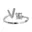 Zilver (V)