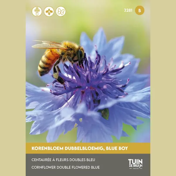 Tuin De Bruijn® Zaden - Korenbloem Blue Boy thumbnail