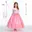 Ster Roze