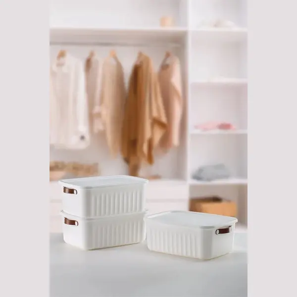 Luxury Bites Aufbewahrungsbox Mit Deckel, 20L-15L -10L Bpa-freie Kunststoff, Nestbar Und Stapelbar (6 Farben, 9 Farbkombiationen, 3er Set) thumbnail